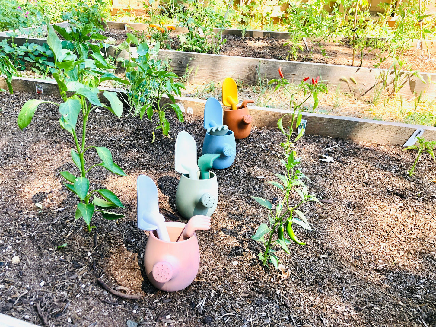 Kids Gardening Kit