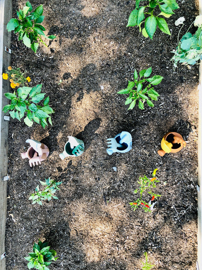 Kids Gardening Kit